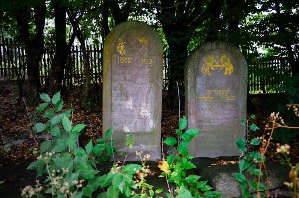 The matzevahs on the Rohatyn Jewish cemetery