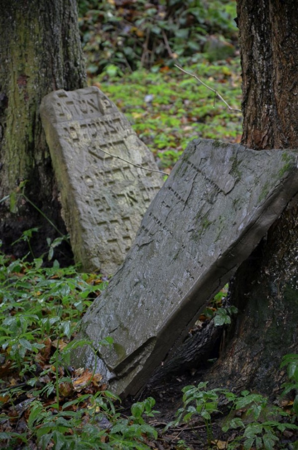 Old Jewish cemetery in Dukla