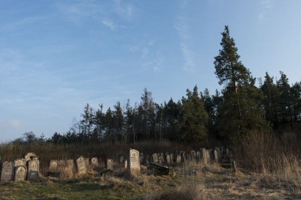 Jewish cemetery in Józefów