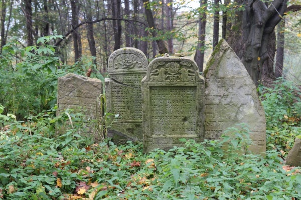 Macewy na cmentarzu żydowskim w Lesku