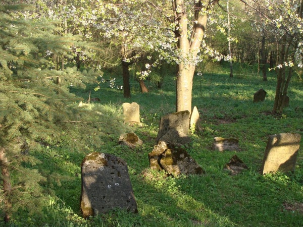 Jewish cemetery in Rymanów
