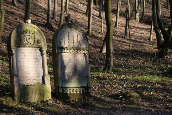 Bogato zdobione macewy na cmentarzu żydowskim w Kazimierzu Dolnym
