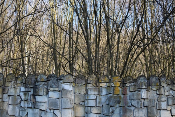 Fragment lapidarium, w formie Ściany Płaczu, na cmentarzu żydowskim w Kazimierzu Dolnym (projekt Tadeusza Augustynka)