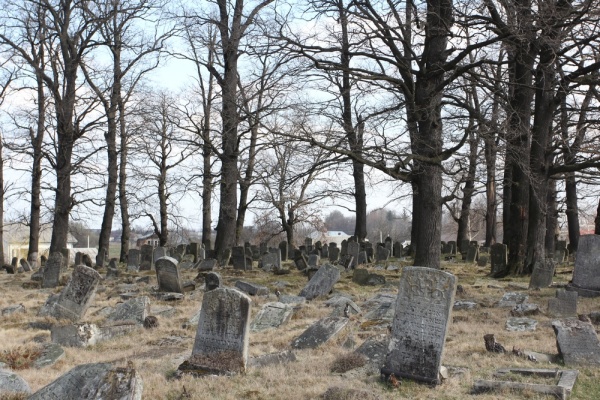 Болехов, еврейское кладбище