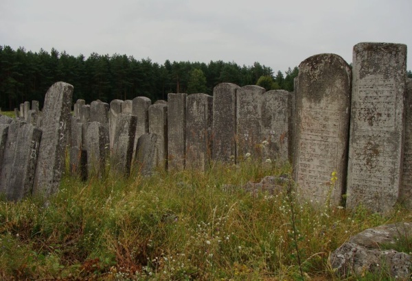 Jewish cemetery in Brody