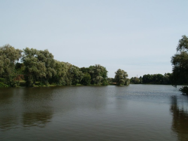 Starorzecze rzeki Słucz zamienione w staw w parku miejskim w Bereźnem