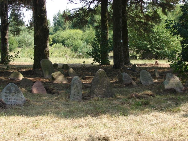 Jewish cemetery in Zheludok