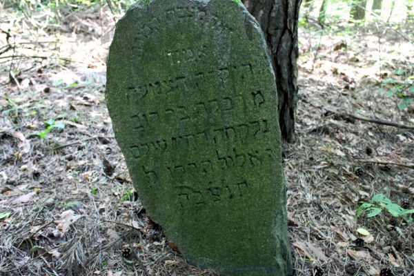 Єврейський цвинтар в селі Лунна (Воля)