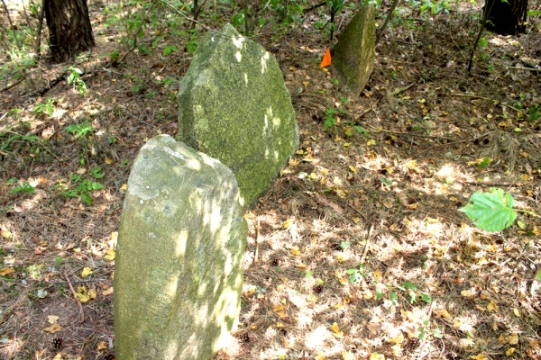 Jewish cemetery in Lunna