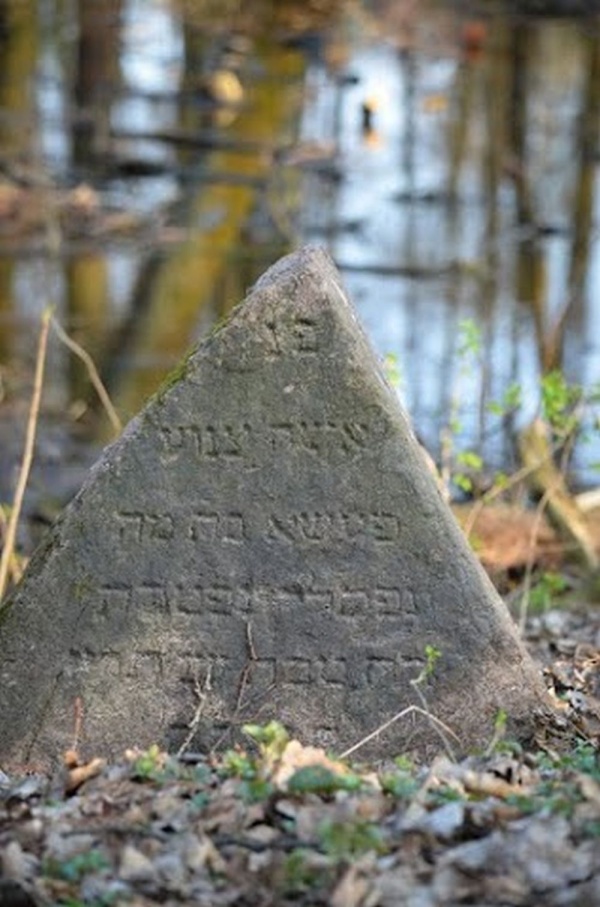 Knyszyn, cmentarz żydowski założony na groblach królewskich sadzawek