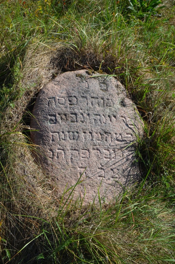 Macewa na cmentarzu żydowskim w Żołudku